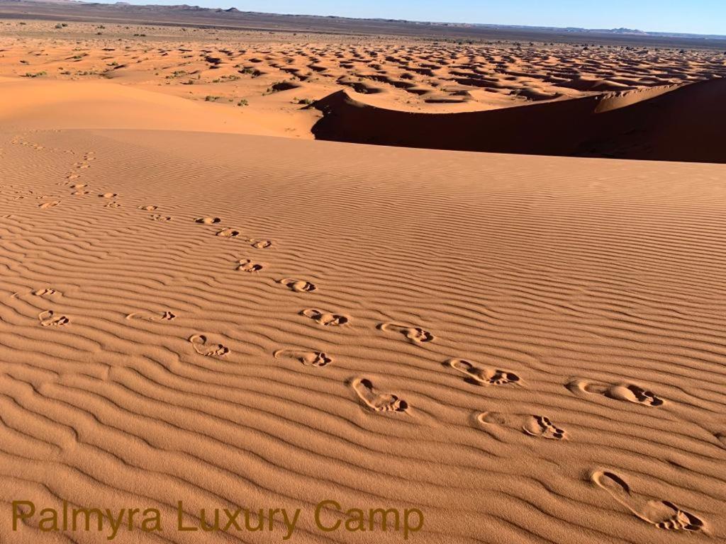 ホテル Palmyra Luxury Camp メルズーガ エクステリア 写真