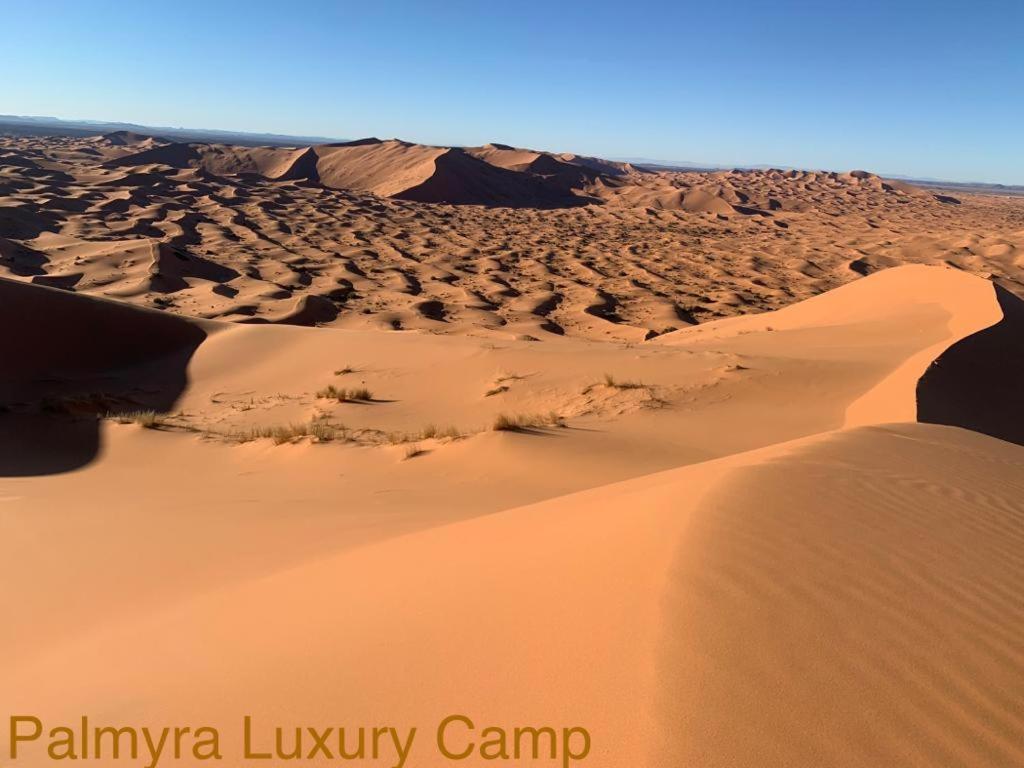 ホテル Palmyra Luxury Camp メルズーガ エクステリア 写真