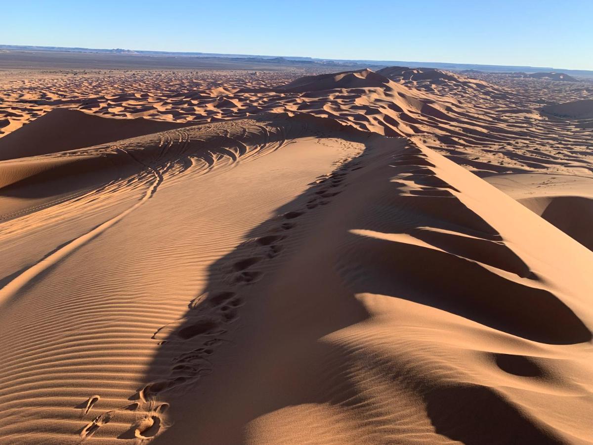 ホテル Palmyra Luxury Camp メルズーガ エクステリア 写真